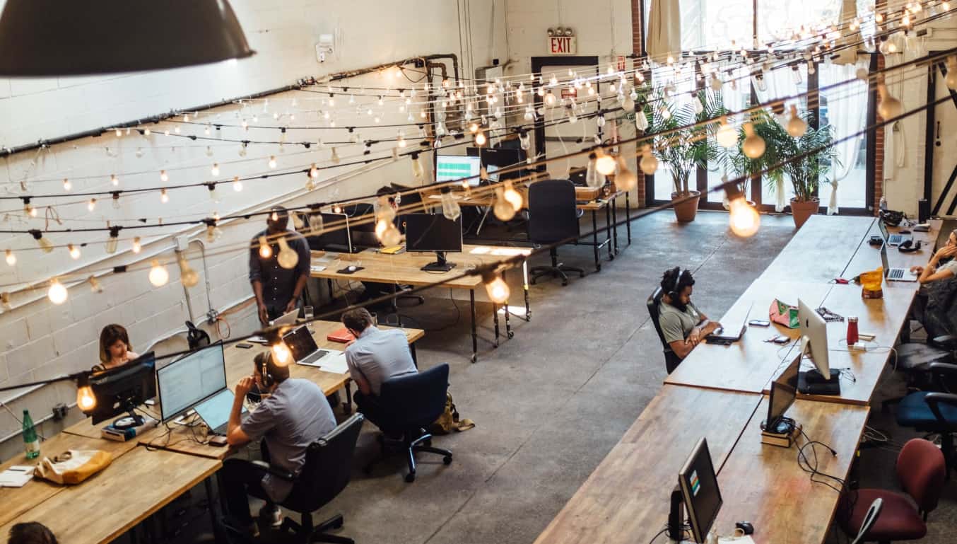 open-planned-office-with-plants-and-lights
