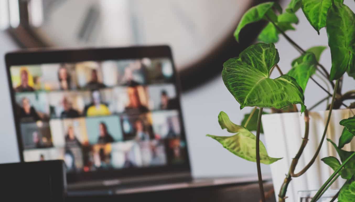 video-call-laptop-and-plant