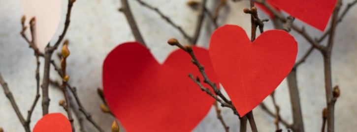 paper red and pink hearts on brown tree twigs|paper red and pink hearts on brown tree twigs