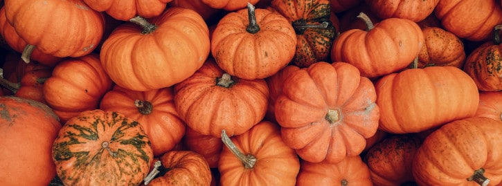 pumpkins