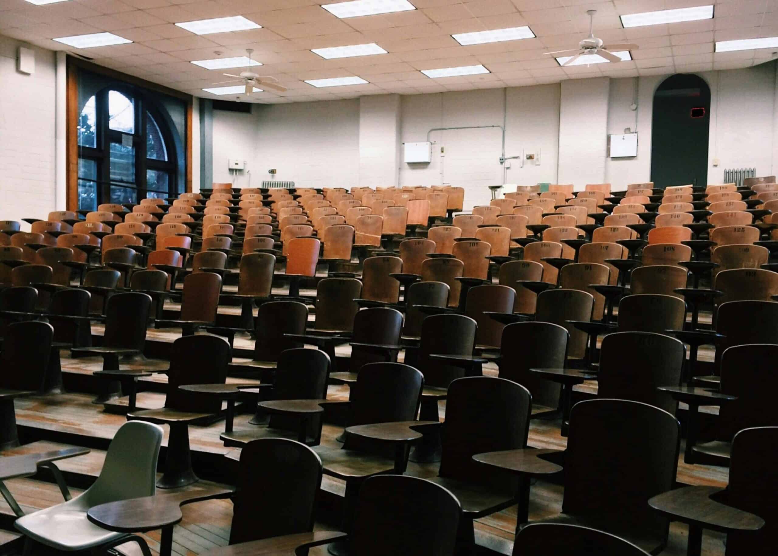 lecture theatre|raphic full length portrait of diverse group of business people meeting at table in modern office interior