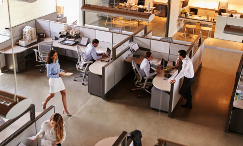people in an office some at desks some walking around
